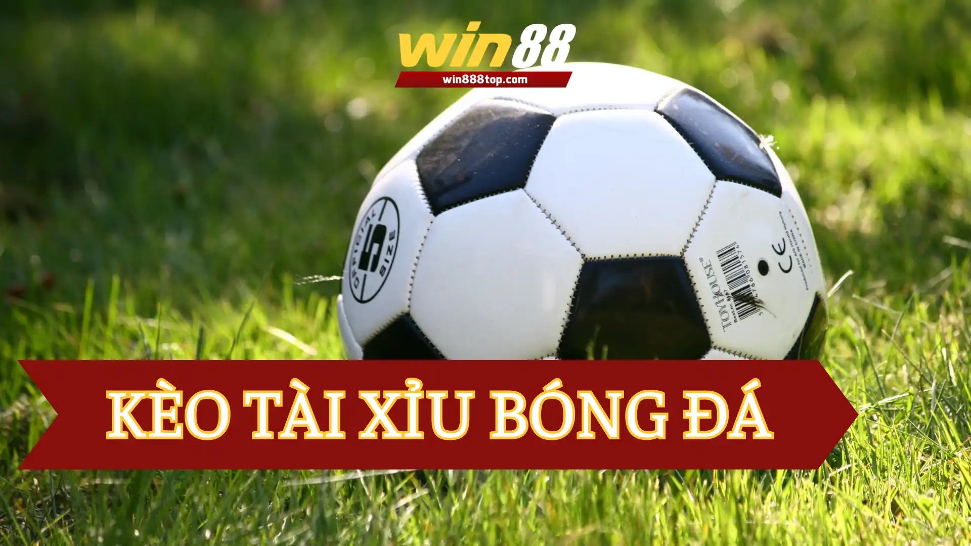 gioi-thieu-keo-tai-xiu-bong-da