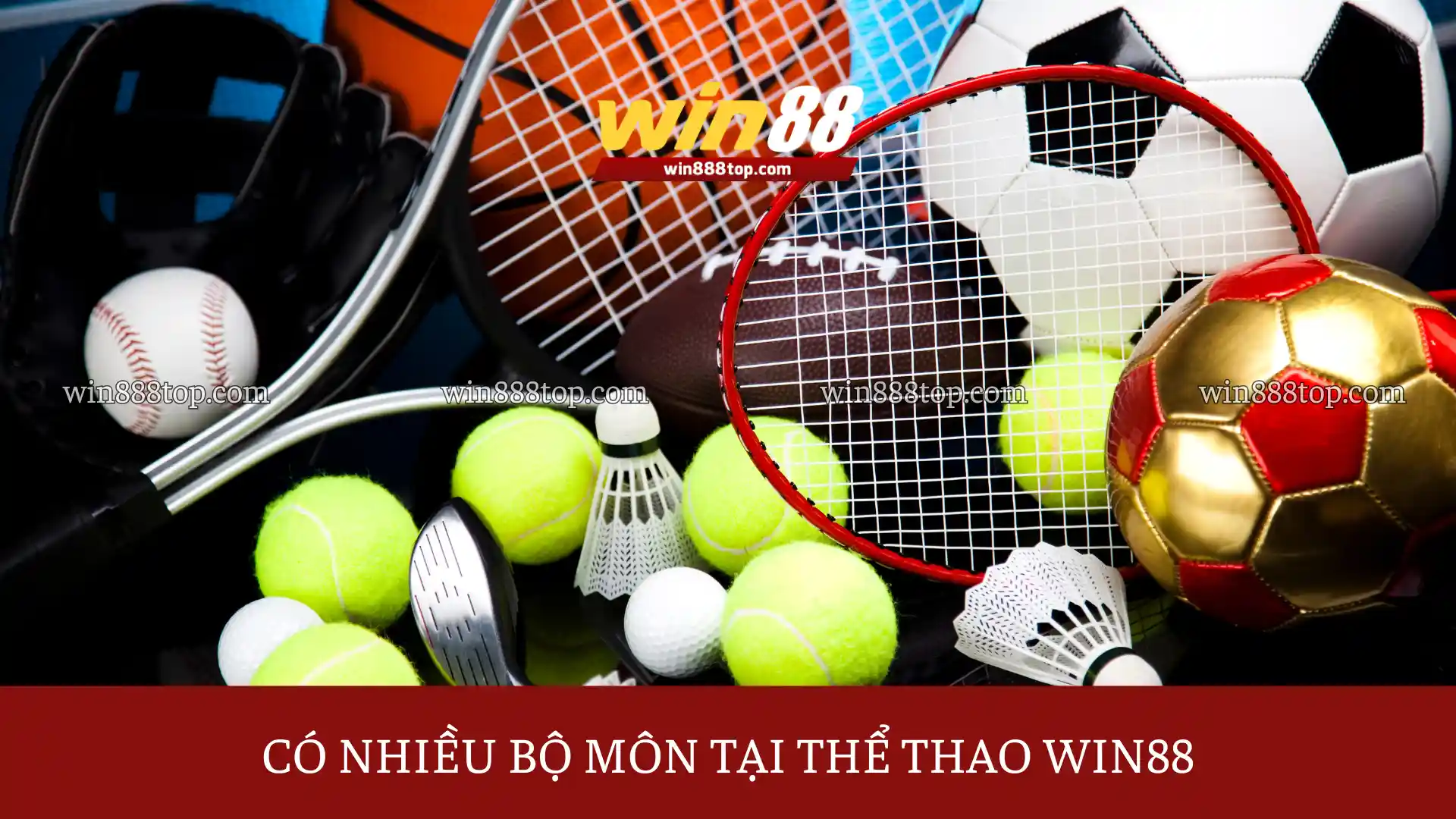 the-thao-win88-co-nhieu-bo-mon