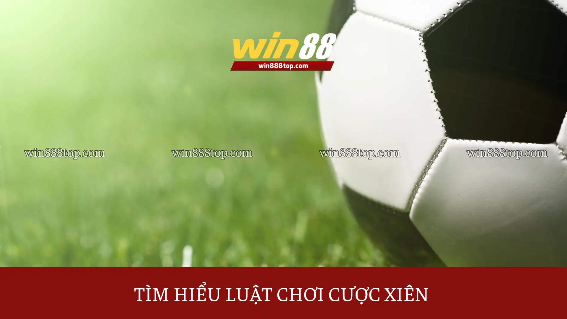 tim-hieu-luat-choi-cuoc-xien